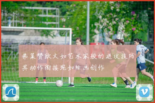 弗莱赞欧文如艺术家般的进攻技巧其动作衔接宛如绘画创作