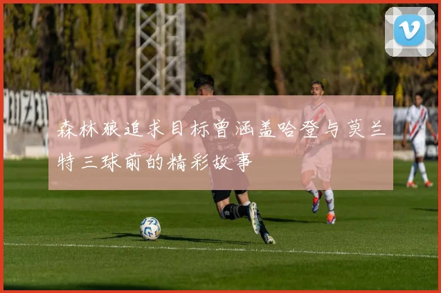 森林狼追求目标曾涵盖哈登与莫兰特三球前的精彩故事